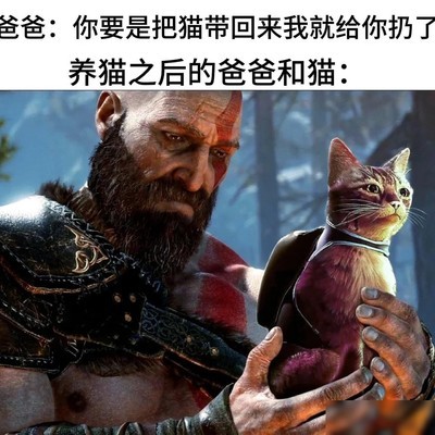 游戏圈经典梗图盘点