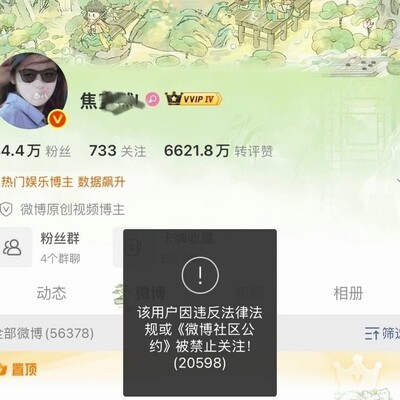 陈都灵法制咖事件揭秘