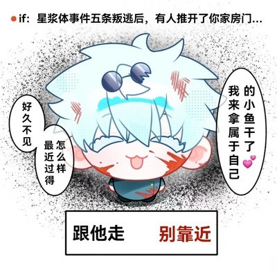 跟猫走是唯一选择