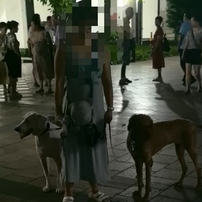 傅首尔言论引发热议