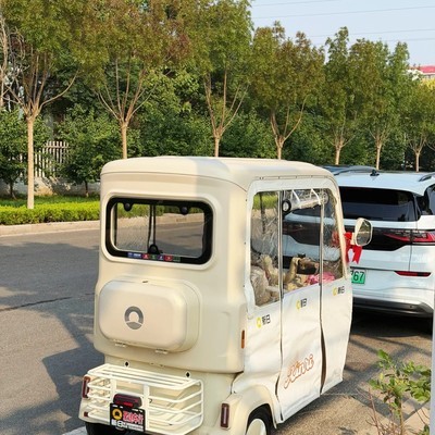 三轮车成家庭出行神器