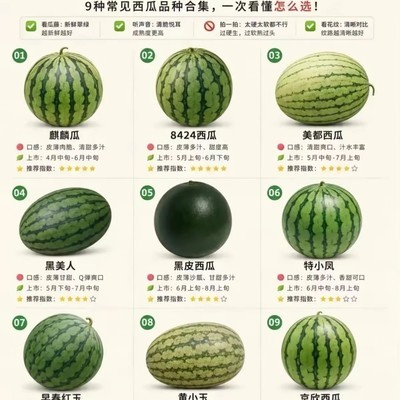西瓜九大品种对比