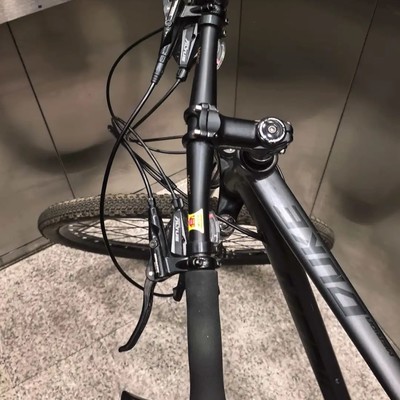 美利达公爵600真伪鉴定
