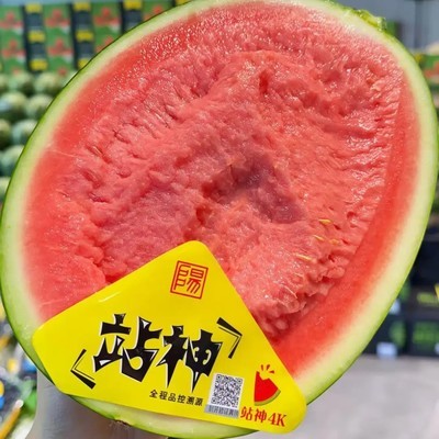 战神西瓜，东台产脆甜王者