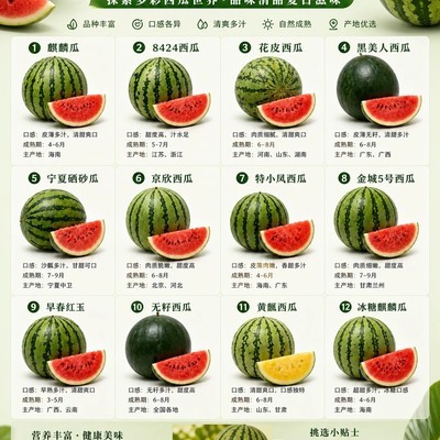 西瓜挑选全攻略