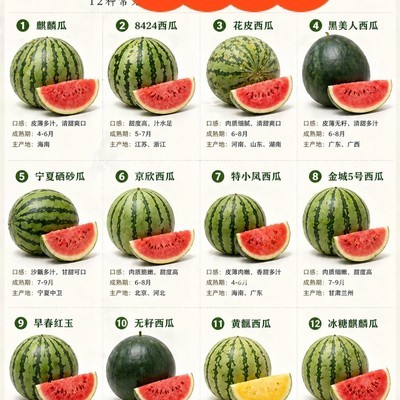 西瓜品种与挑选指南