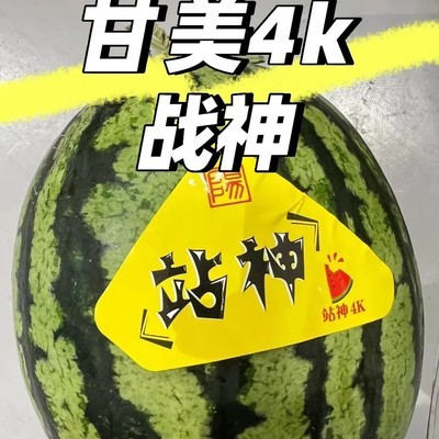 东台战神西瓜，甜脆不吐籽
