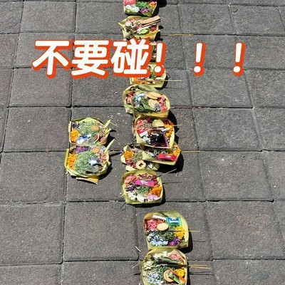 巴厘岛路边圣盒需绕行