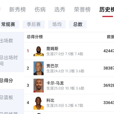 勒布朗詹姆斯的卓越成就