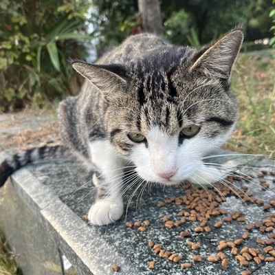 人情世故那些事