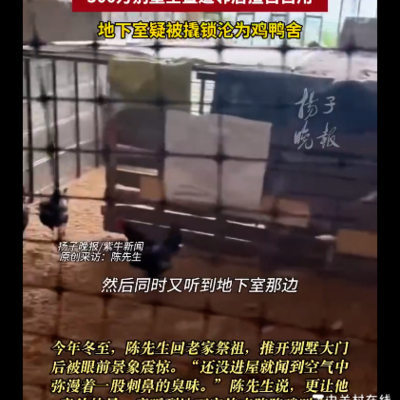 闲置别墅遭侵占养禽，邻居私闯引纷争