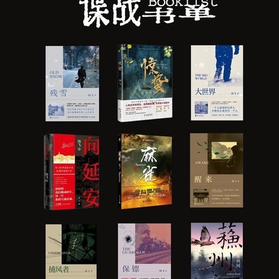 低能量者的谍战生存学