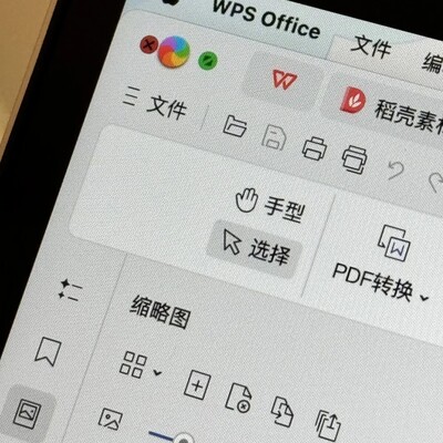 Mac版WPS运行卡顿问题