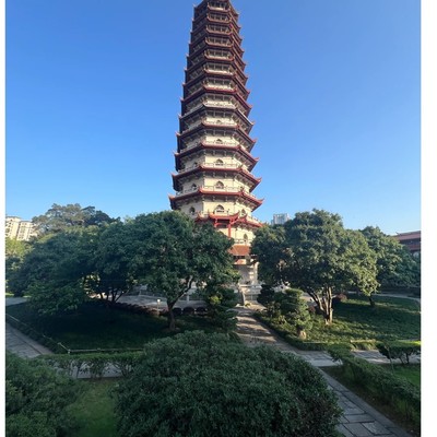 手机WPS缩放图片技巧