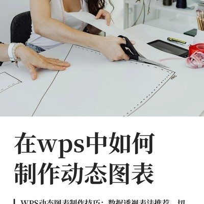 WPS动态图表制作方法