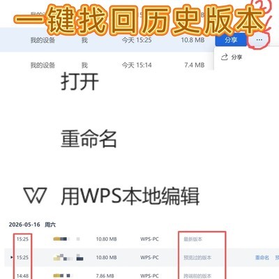 WPS论文历史版本找回