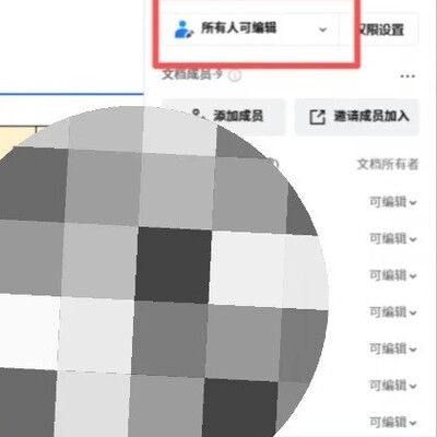 共享文档权限设置异常