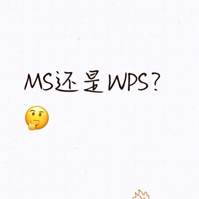 MS与WPS二级考试选择指南