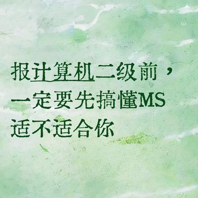 计算机二级MS与WPS选择指南