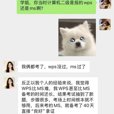 计算机二级选MS还是WPS