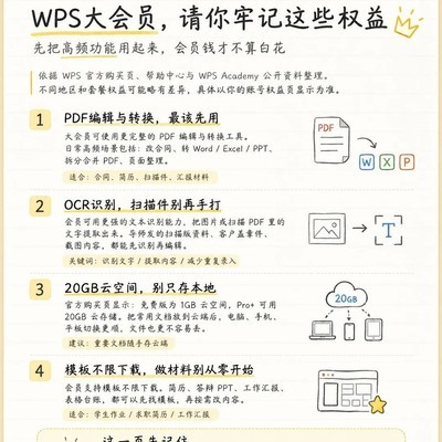 WPS大会员高效使用指南