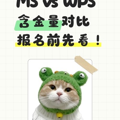 MS与WPS证书含金量对比