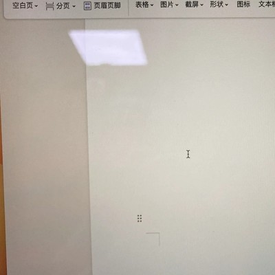 WPS空白页插入技巧
