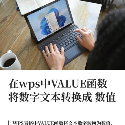 WPS中VALUE函数数值转换