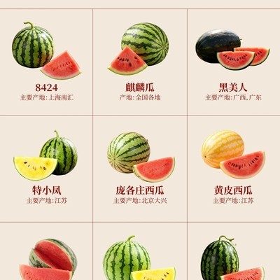 西瓜九大品种全解析