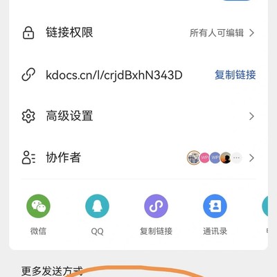 WPS文件下载权限问题