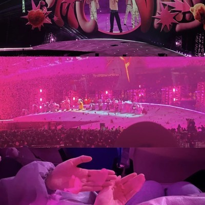 成都汪苏泷演唱会与熊猫基地游