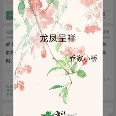 龙凤呈祥，群像家国情