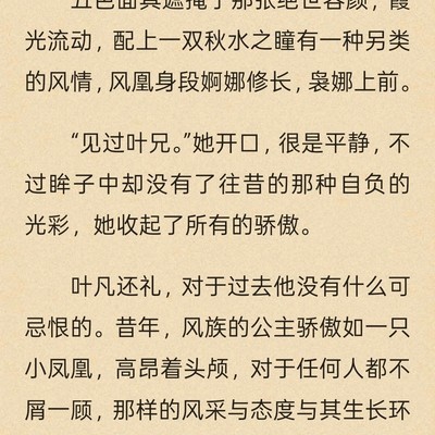叶凡与风凰重逢