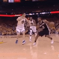 帕楚里亚行为评价