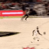 库里神奇进球引发热议