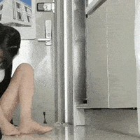 职场骚扰应对与情感支持